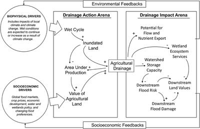 When a Water Problem Is More Than a Water Problem: Fragmentation, Framing, and the Case of Agricultural Wetland Drainage